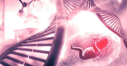 MedicineFetal's tweet image. Are you looking for the Anomaly scan?

Consult Our Expert Dr. Neha Gupta-Fetal Medicine Consultant
.
To know more click here👇
**
*
Dr. Neha Gupta,Fetal Medicine Specialist in Noida
.
Visit:- fetalmedicinesolutions.com
-
#DrNehaGupta #fetalhealth #Ntscan #pregnancycheckup