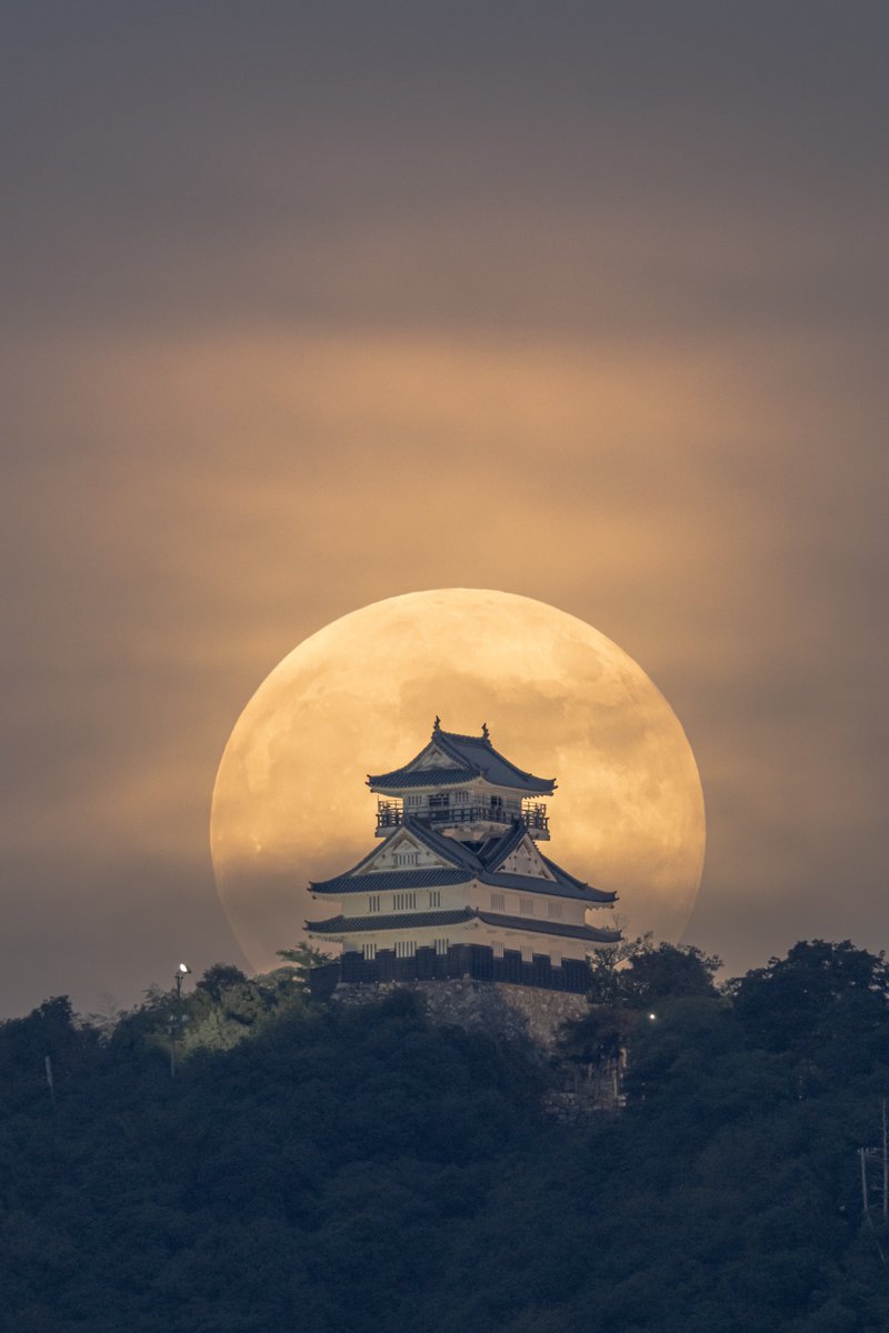 shion_329_Z8_Zf's tweet image. 今日の岐阜のスーパームーン
薄雲ありながらも出てくれました
