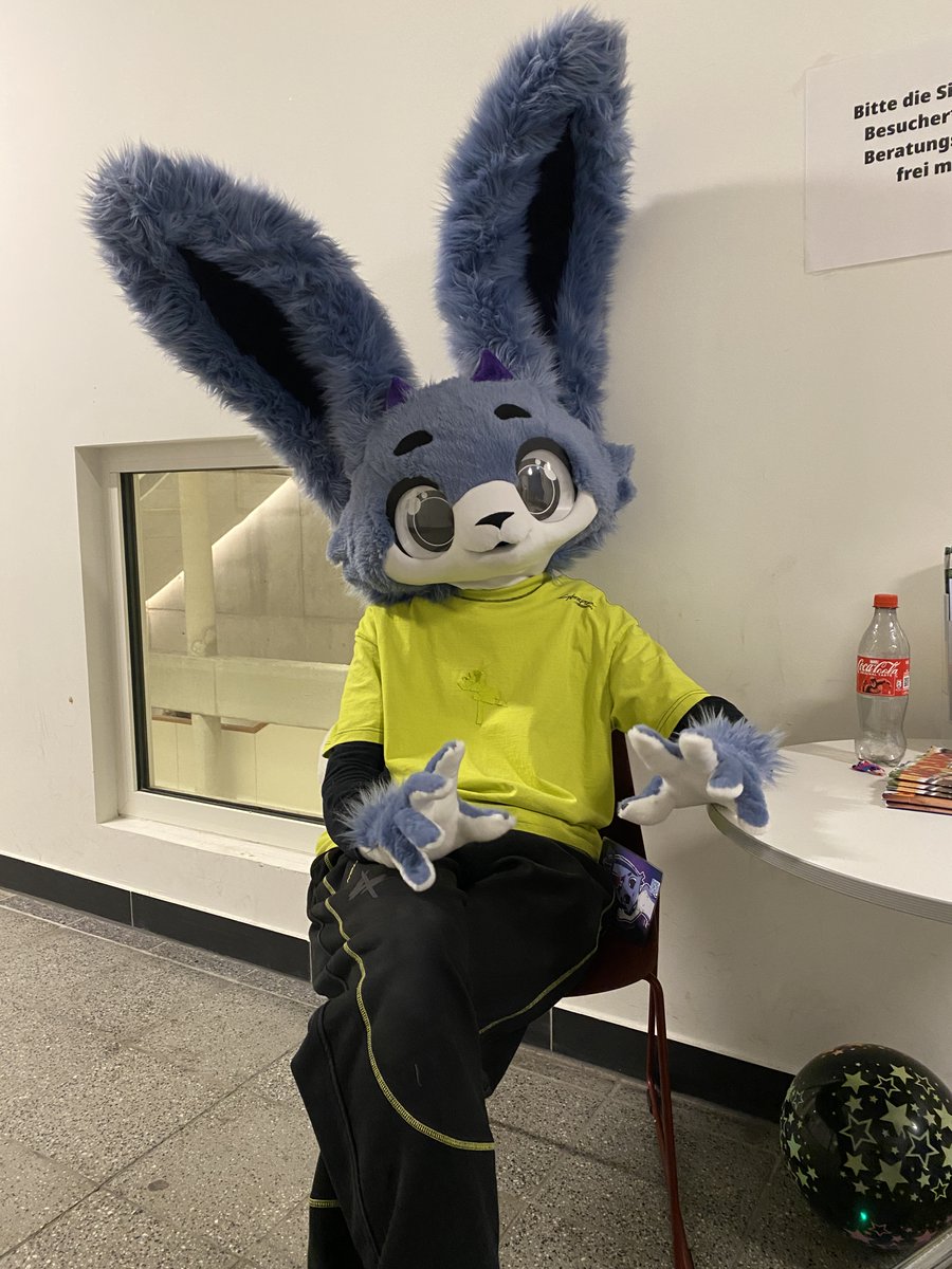It's my birthday today! Get bunny'd :3

#furry #fursuit