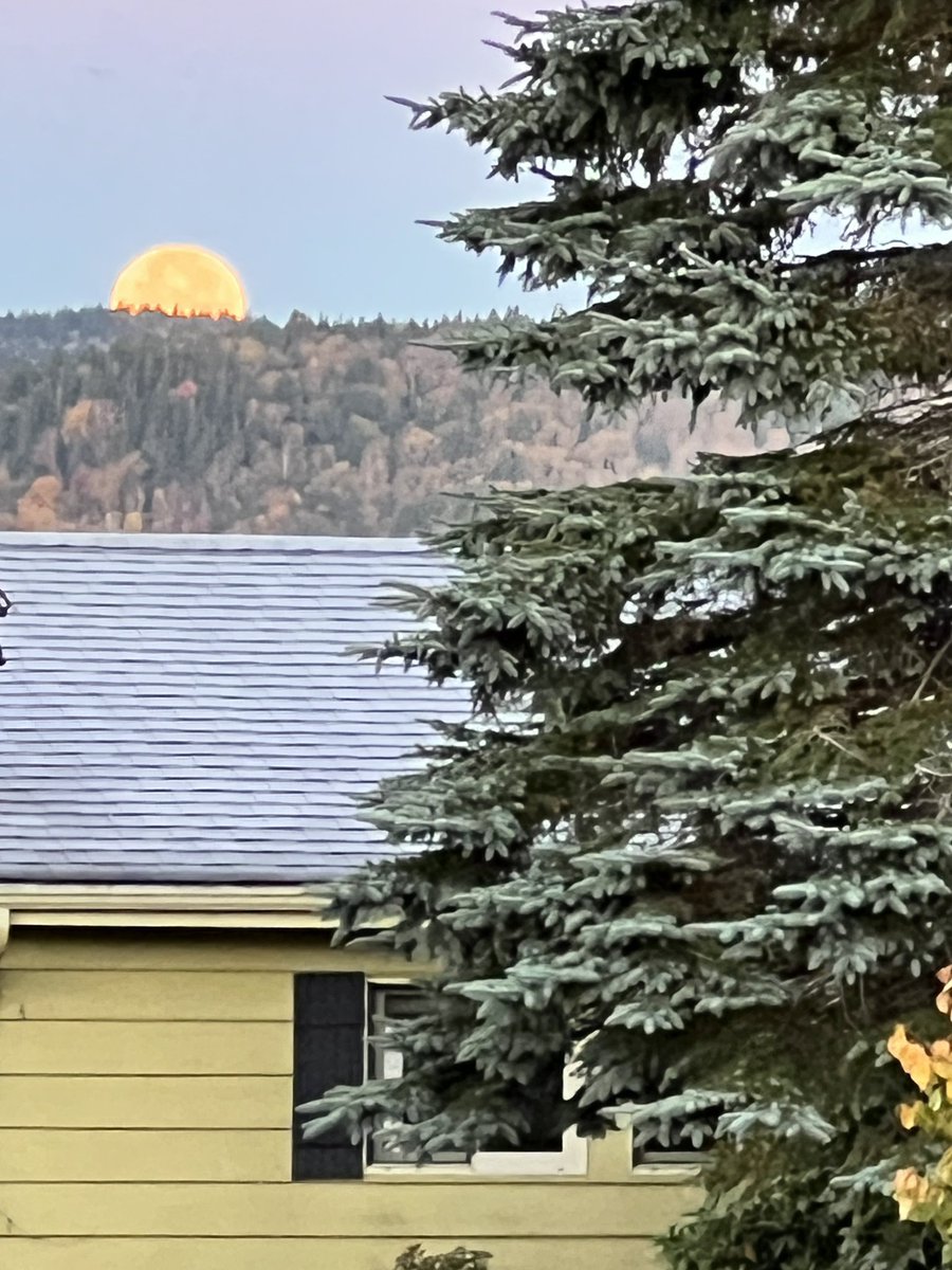 I like these kinds of surprises when I open my blinds in the morning. 

Anyone see this beautiful Hunters Moon hanging over the water this morning?

#HuntersMoon #newbeginnings