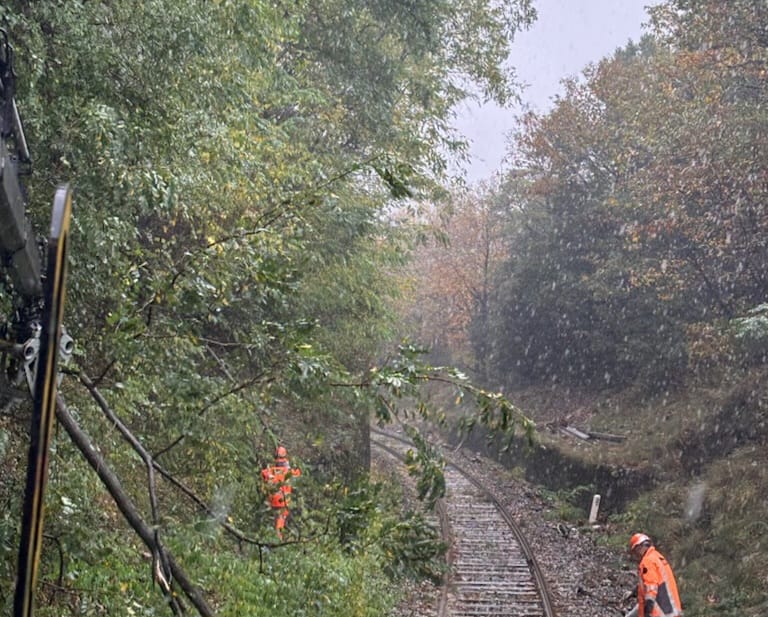 SNCF Réseau tweet media