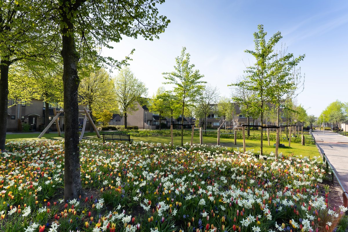 🗣️Heb jij hem al ingevuld?

❤️Je hebt nog tot 21 oktober om te laten weten wat je vindt van het onderhoud in jouw wijk!

Vul hier de vragenlijst in👉 bit.ly/400Q6nn

#Alkmaar