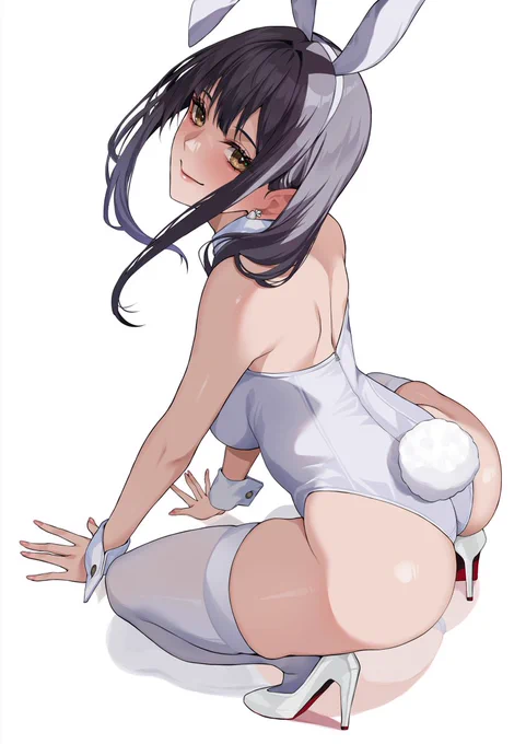 白うさぎ 