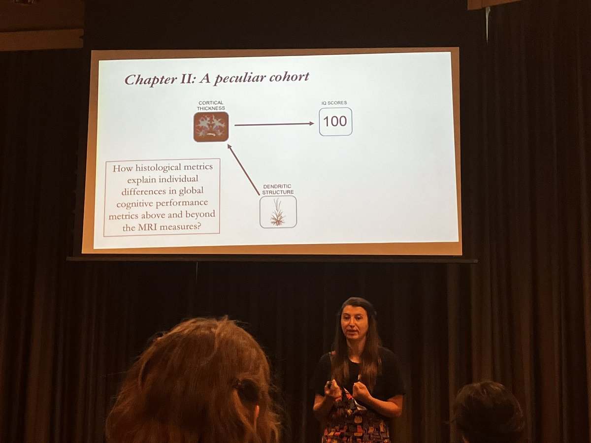 LDHargitai's tweet photo. Exciting results from @LeaCMichel at this afternoon’s @dondersdiscuss session. While dendritic structure does not appear to be related to cortical thickness, it does predict individual differences in IQ. https://t.co/XTKlrAAhDg