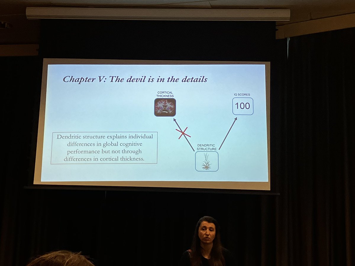 LDHargitai's tweet photo. Exciting results from @LeaCMichel at this afternoon’s @dondersdiscuss session. While dendritic structure does not appear to be related to cortical thickness, it does predict individual differences in IQ. https://t.co/XTKlrAAhDg