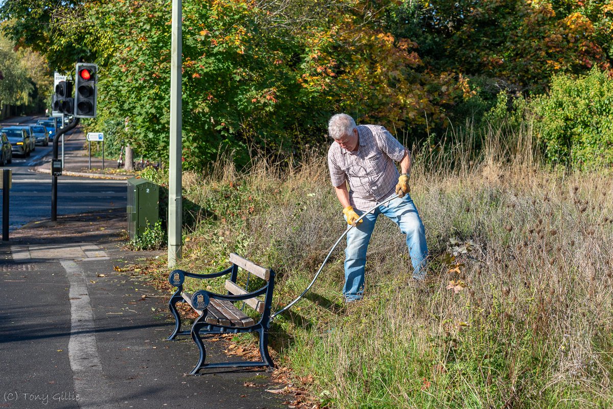 friendlyevalley's tweet photo. We were joined today at Rock Edge by the City Council's Thursday Volunteers who helped us scythe off the old wild flower scrapes and spread the cut material on two of three news scrapes. Hopefully, any seeds left in this cut material will germinate over winter.
#GreenSpaces #OX3 https://t.co/dthpDEjg4l
