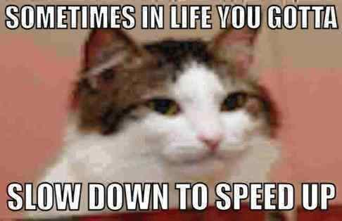 SpaceLozzy tweet media