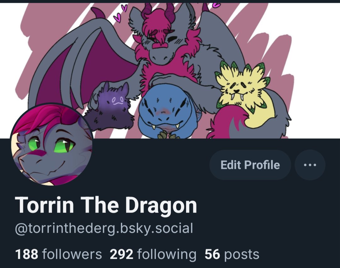 torrinthederg.bsky.social tweet media