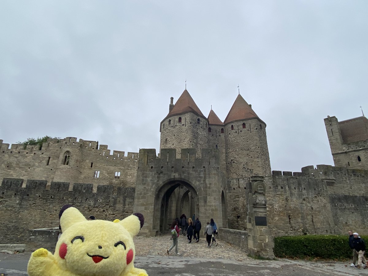 cha_sekaiicha's tweet photo. たまに"Oh pika..."って言われるﾁｬ

(画像1枚)
#mond_cha_sekaiicha
https://t.co/pGq9l7AuuO https://t.co/8z1VrsDPpM
