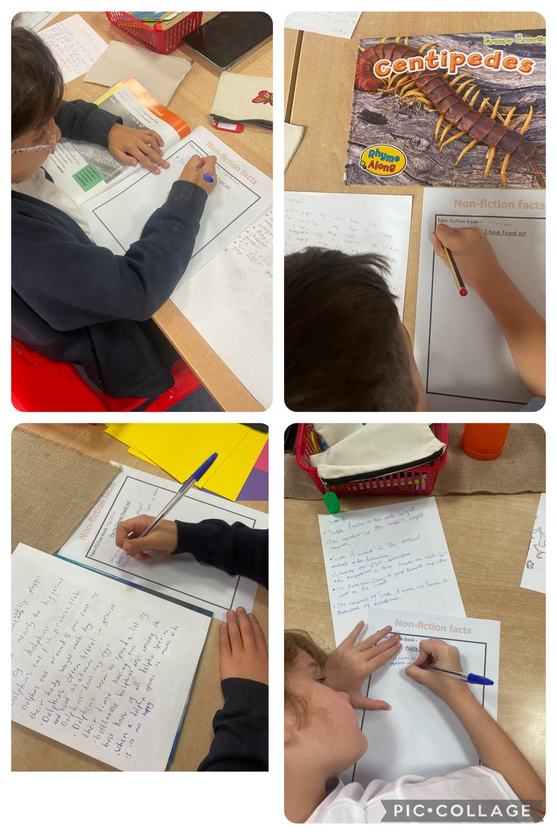 BirstallAcad13's tweet photo. Yesterday, our Yr 3 cohort loved exploring a range of non-fictional texts. They worked together to select and identify key information and use this to create some great fact files for friends. #BookBonanzaWeek24 https://t.co/1DmQsqPOb4