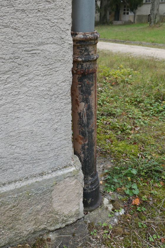 Sparrersway's tweet photo. #drainpipe https://t.co/YKNCDd1Puc