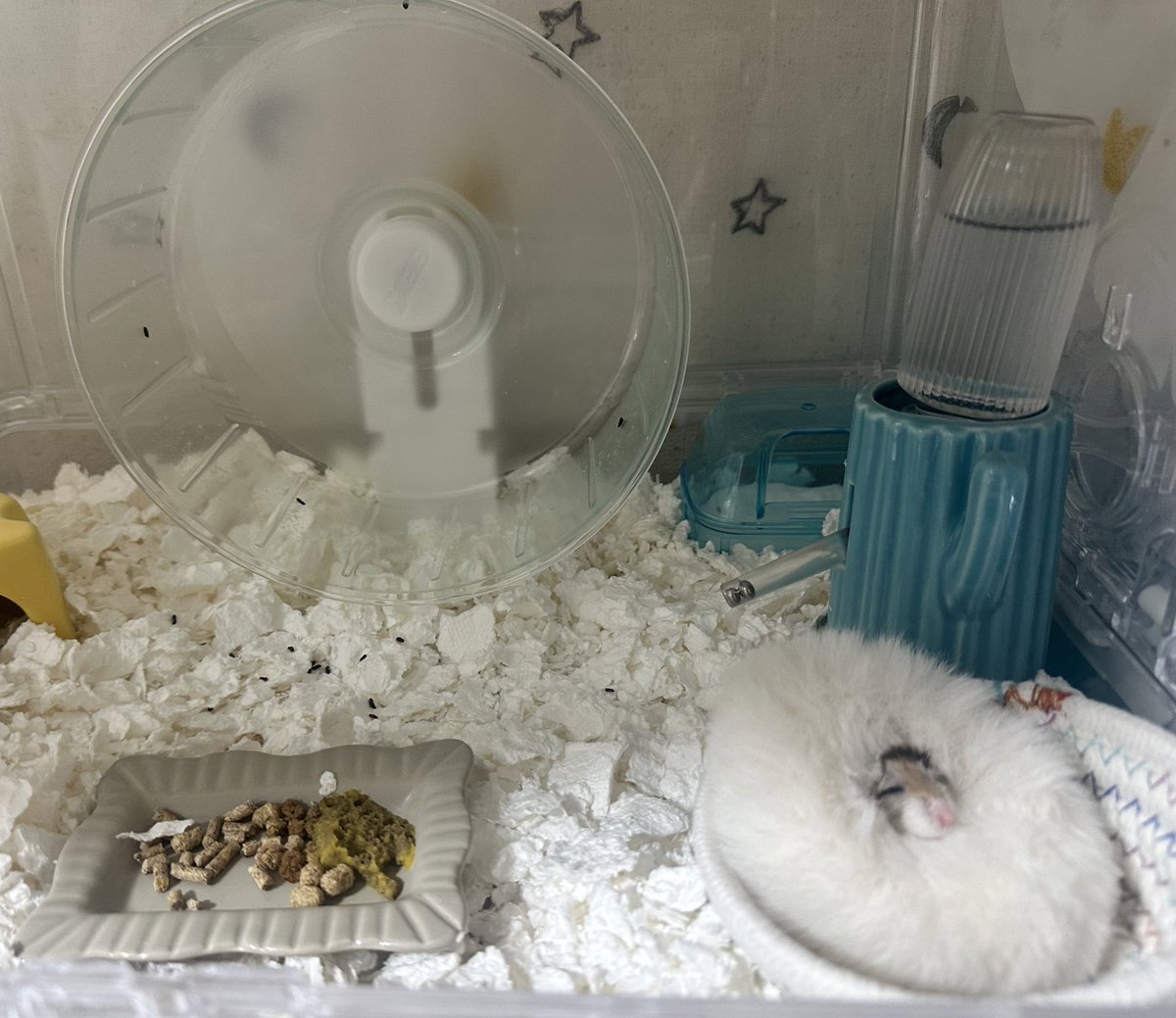 Content from kittylovemitten