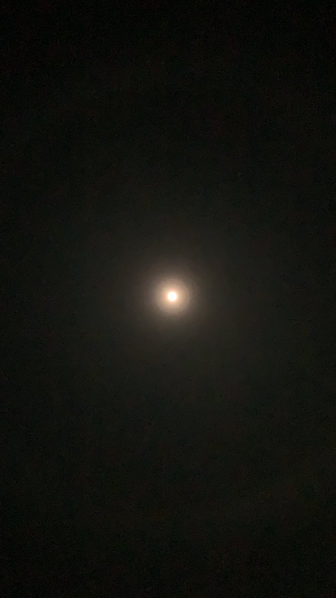 tk4syz3's tweet photo. 満月🌕にして、大きな月ハロが薄っすら観えた。
#イマソラ
#イマツキ
#スーパームーン https://t.co/acGfQfoxci