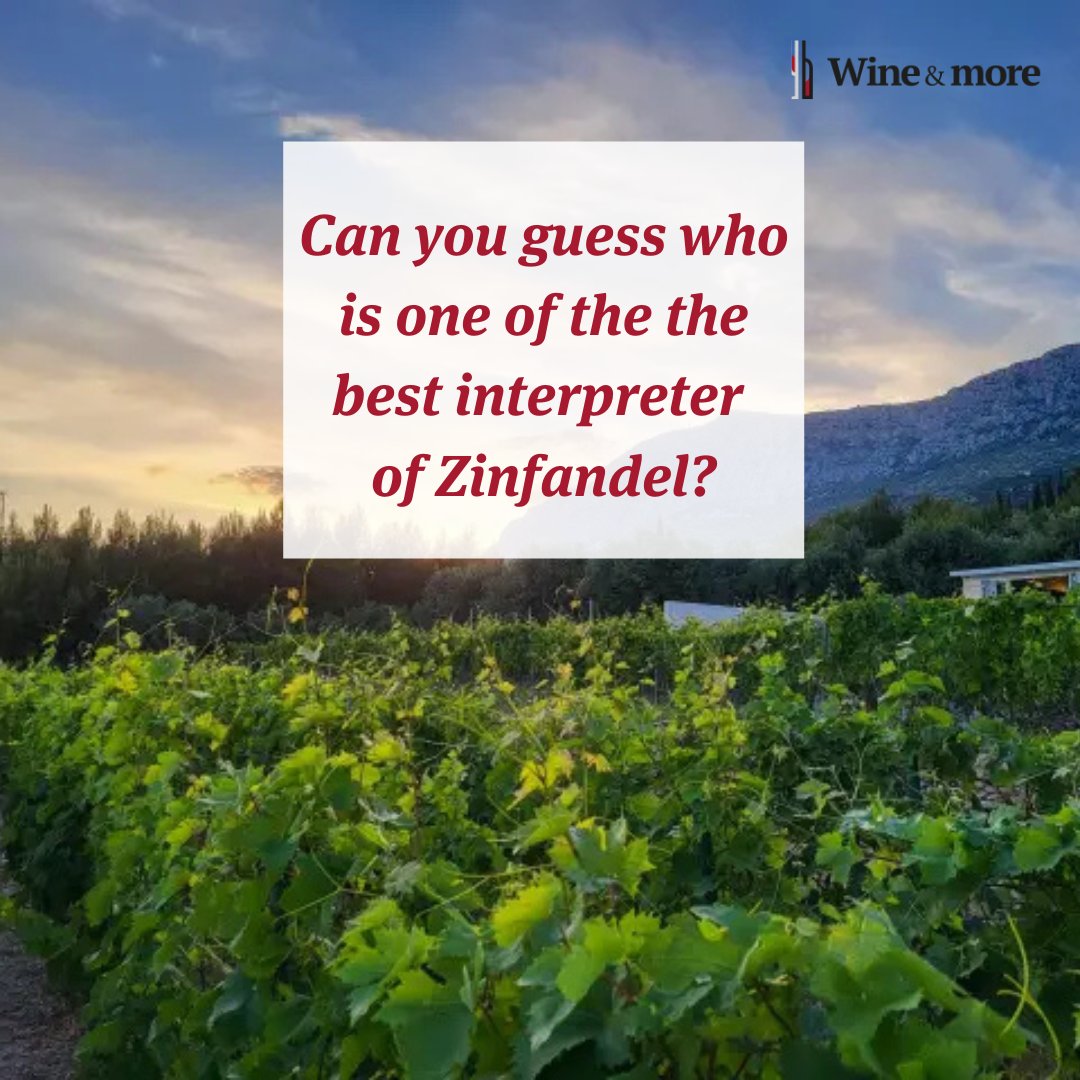 Putalj winery near Split started its commercial path by releasing 2010 Zinfandel. and is considered by many as the best interpreter of the ancient Zinfandel grape.
#wineandmore #winelovers #croatianwine #putaljwine #putaljwinery #putaljwinery🍇

Try now: tinyurl.com/m2p44vzn