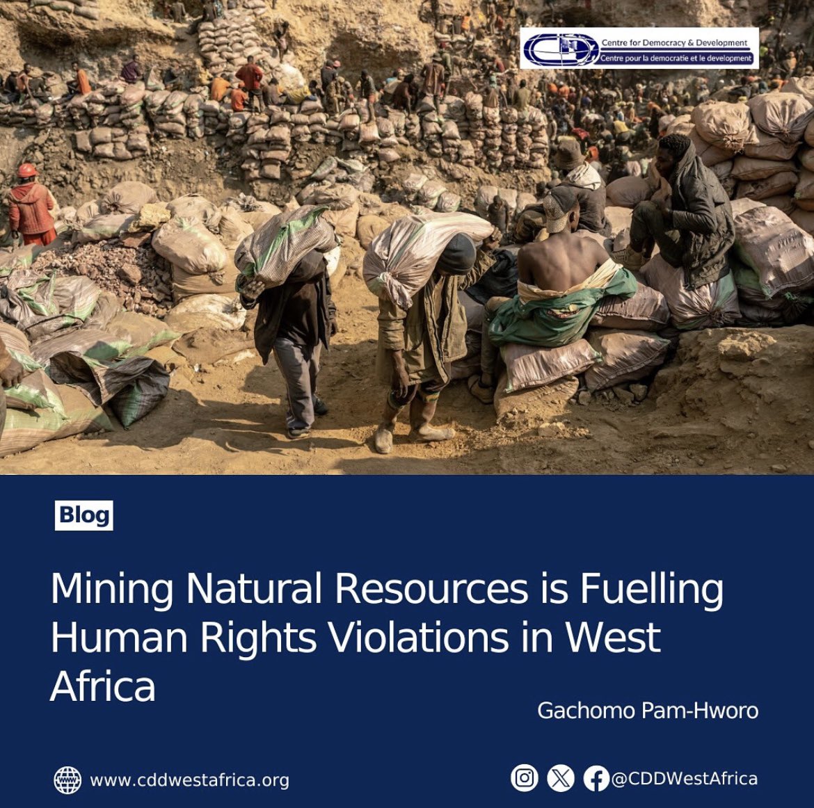 CDD West Africa tweet media