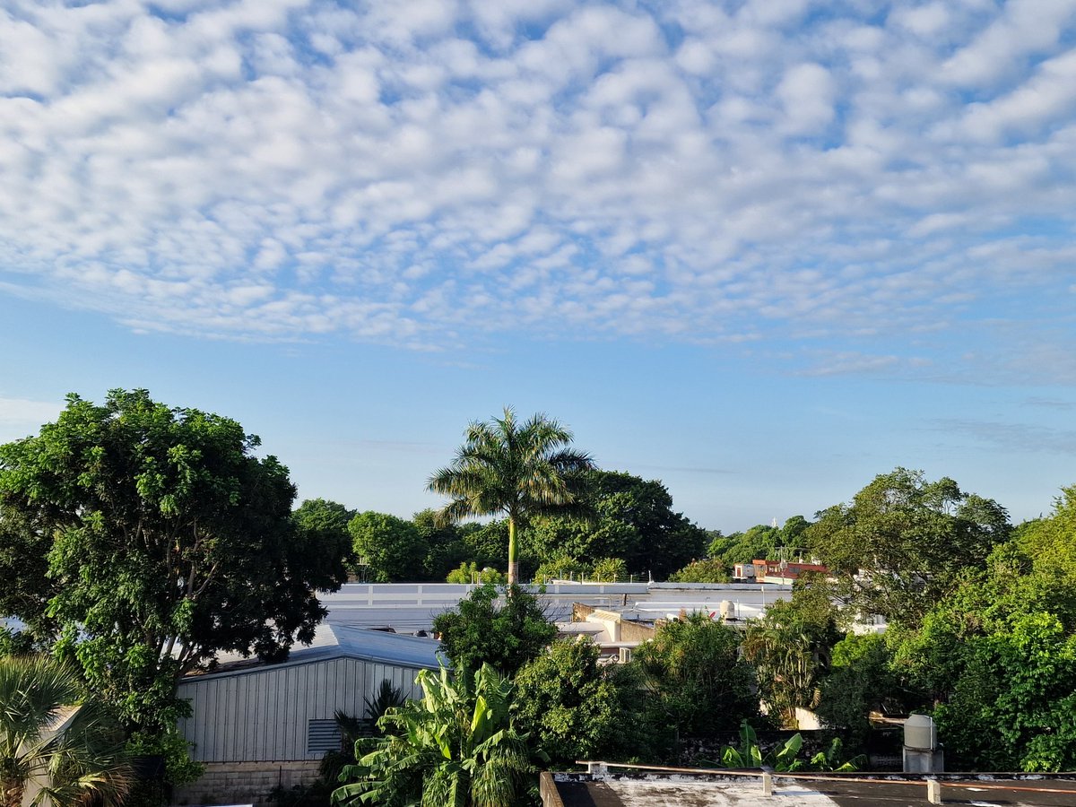 bannfio's tweet photo. @JaneyGodley @PPWHospice Bit late to this, just woke up (-8hrs). But the sky was so pretty I thought I'd send a pic. Sending love and all good thoughts. https://t.co/vWMHjmDEtn