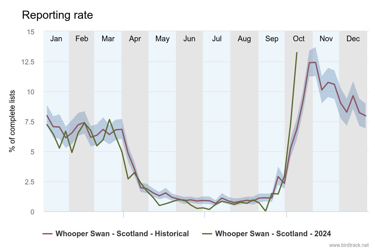 Whooper Swans are arriving back in force for the winter as the BirdTrack reporting rate graph shows. Listen out for their distinctive whooping call.

Have you seen any of these Icelandic visitors yet? Don't forget to add your records to <a href="/BirdTrack/">BirdTrack</a>: the-soc.org.uk/pages/birdtrack