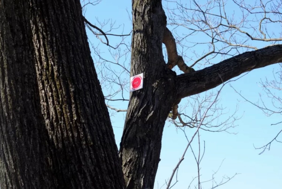 OODMag's tweet photo. A reader asks if COs have the authority to enter private property.
https://t.co/LLPHK0FHCd
@FishWildlifeON
#Hunting #Fishing #Outdoors #AskACO #ConservationOfficer #PrivateProperty https://t.co/gmr1PVZRcu
