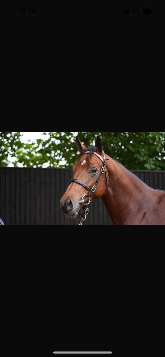 oliver costello tweet media