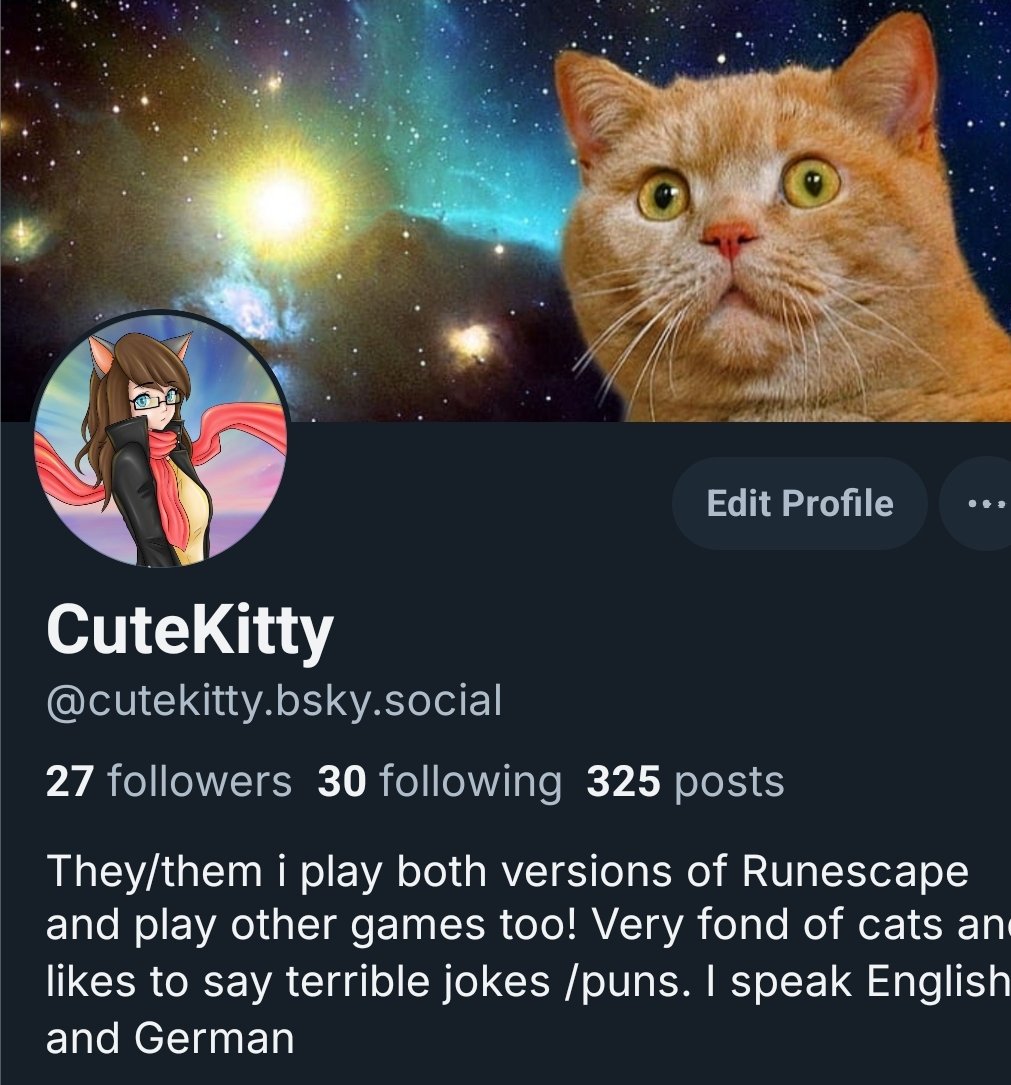 CuteKitty 🦋 tweet media