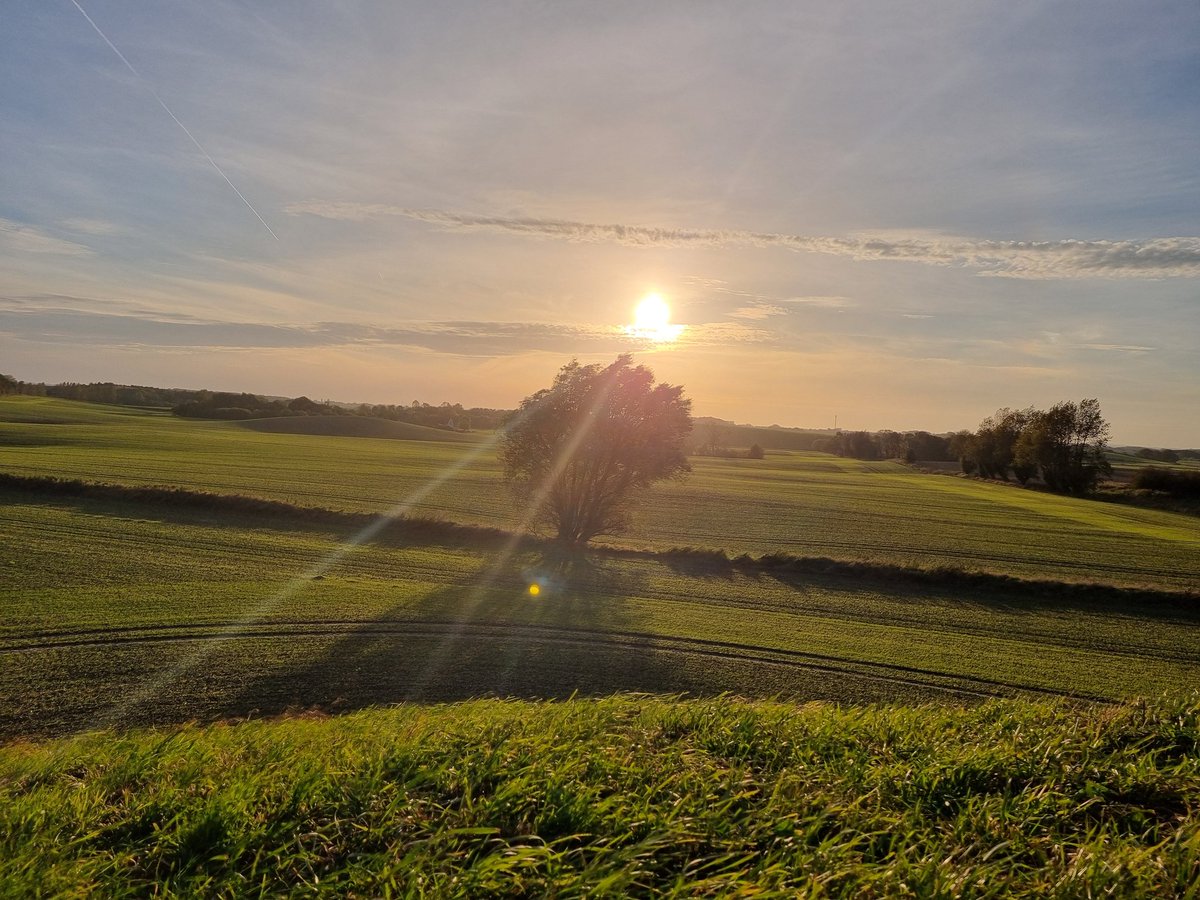 PoofyWithPie's tweet photo. Very windy. 
From the top of Mårhøj.  

#sun #wind #nature #photography #NaturePhotography https://t.co/r61qRS7Job
