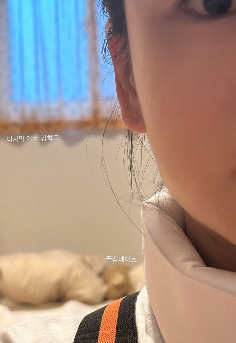 EJinside's tweet photo. ←
은딘이 보여주고 싶은 것 : 꿀잠메이트 밍구루🐾
내가 본 것 : 은디니 말랑볼따구
→
은딘이 보여주고 싶은 것 : 애착벌레 길채브로치
내가 본 것 : 은디니 오리입쯀 💋

동상이몽이야 머야 ... 휀걸 눈엔 은딘이만 보여요🥹 https://t.co/30CMZyHGzE