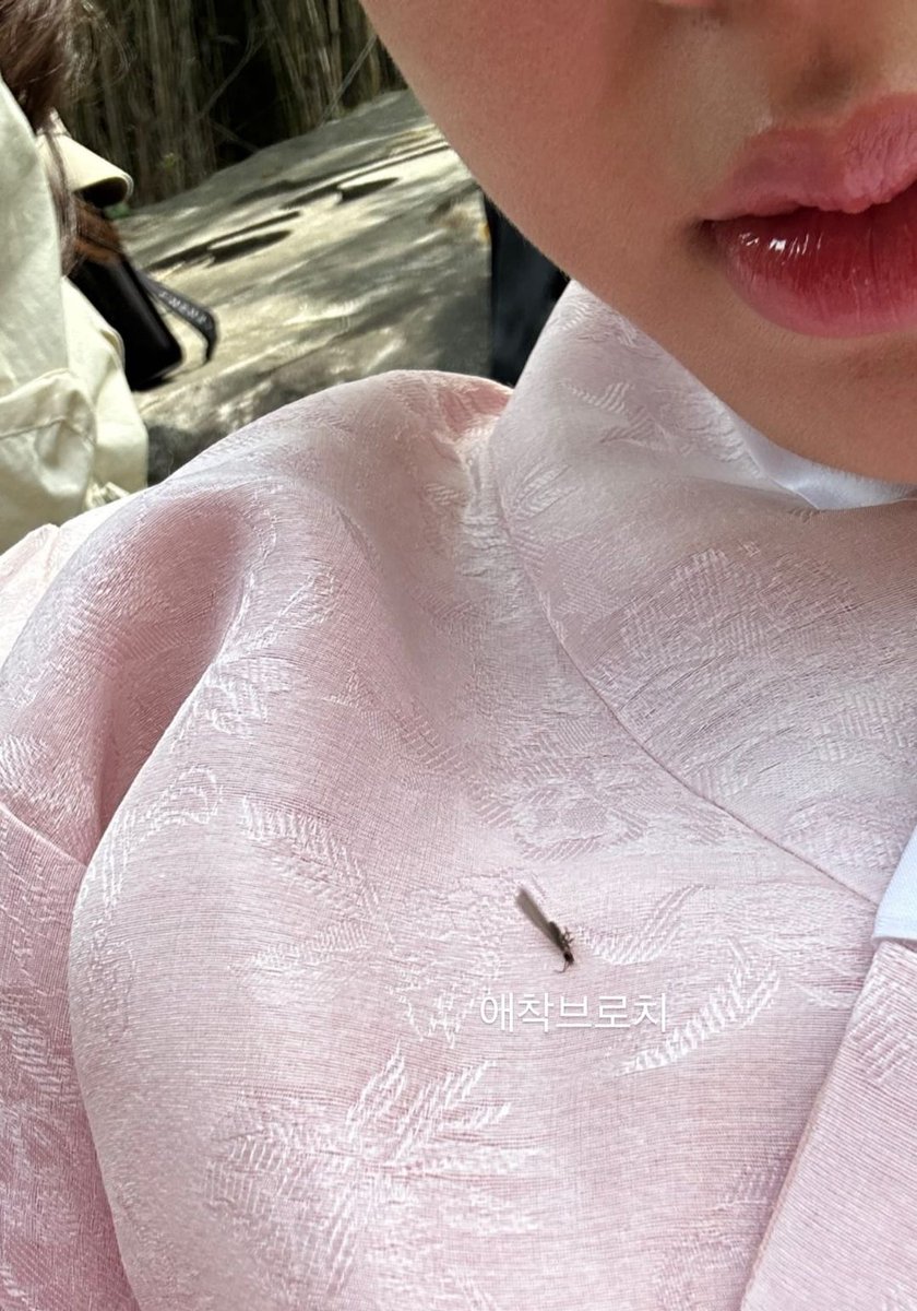 EJinside's tweet photo. ←
은딘이 보여주고 싶은 것 : 꿀잠메이트 밍구루🐾
내가 본 것 : 은디니 말랑볼따구
→
은딘이 보여주고 싶은 것 : 애착벌레 길채브로치
내가 본 것 : 은디니 오리입쯀 💋

동상이몽이야 머야 ... 휀걸 눈엔 은딘이만 보여요🥹 https://t.co/30CMZyHGzE