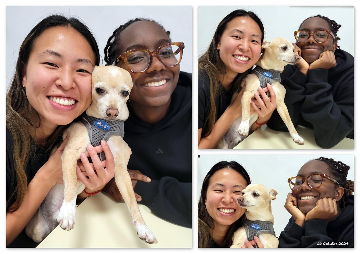 #Spanish beginner course: Chalsie + Saharla + Botas 🐶😅