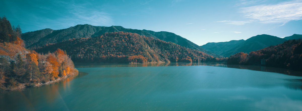 PhotoJoseph tweet media