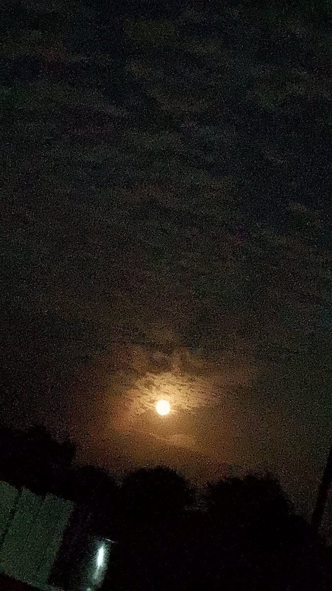 शुभ संध्या मित्रों