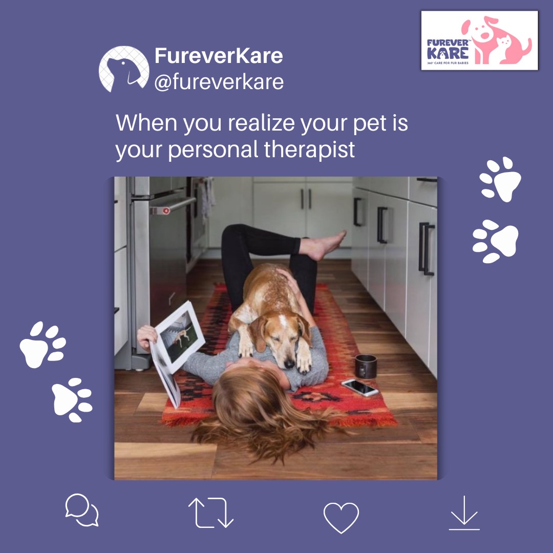 FureverKare's tweet photo. When you realize your pet is your personal therapist... and they never charge you! 💸😝
#furryfriends #petlove #pawsitivevibes #petparents #therapytime #funtime #furryfriendship #petmemes https://t.co/sdniyDh2a3