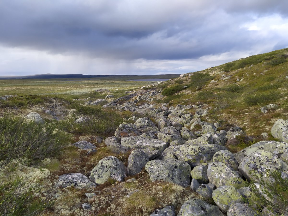 MiguelVillosPe's tweet photo. 🧵1/3 I'm hiring! If you’re passionate about Arctic ecosystems &amp; remote sensing, this PhD position is for you!📡Join our team @UEFGeoHistory to investigate how browning &amp; greening are reshaping tundra ecosystems. Expect drones, satellites, and some epic fieldwork in Lapland! 🏔️🌿 https://t.co/D4WHvuCi76