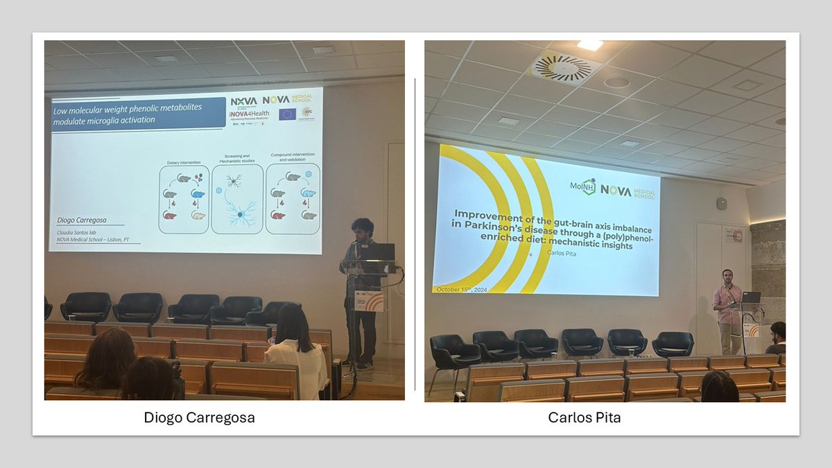 CNSantos_lab's tweet photo. @nova_medschool  PhD Students Retreat was amazing! 🎉 
Students from our lab gave talks, and presented posters, but ALL shared their research with colleagues.
Inspiring days of collaboration and knowledge exchange! 💡✨
@ERC_Research  @fct_pt https://t.co/ALyAsdnmR5