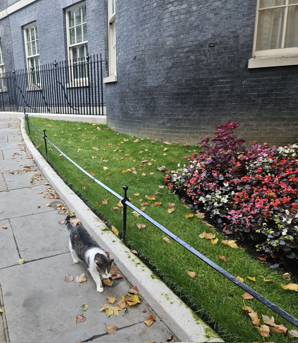 Daniel Kebede tweet media