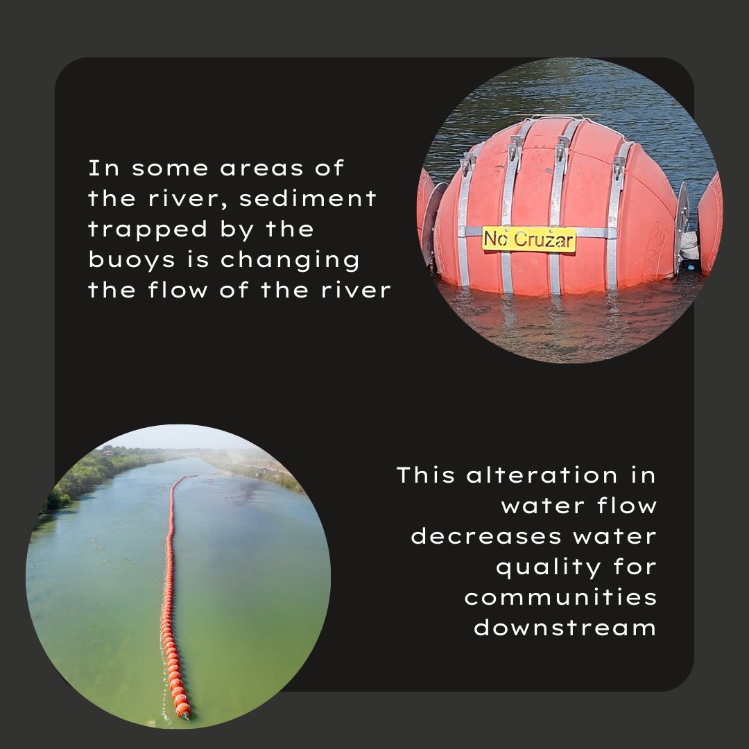 SA Stands tweet media