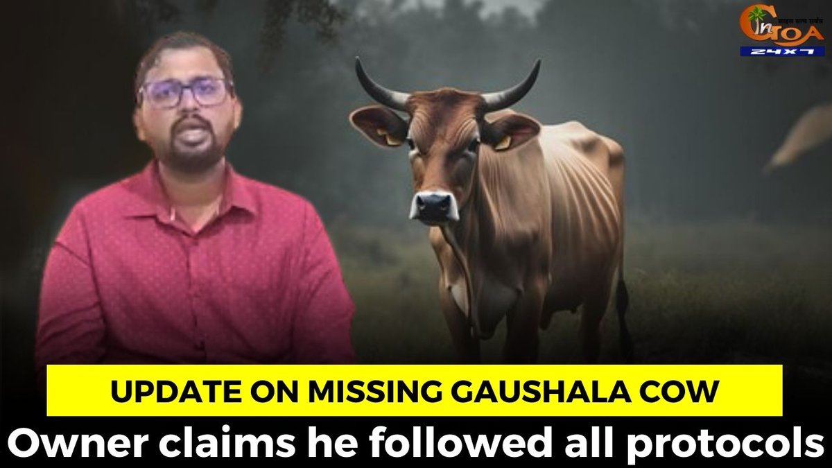 InGoa24x7's tweet photo. Update on missing gaushala cow, Owner claims he followed all protocols
WATCH : https://t.co/8RBdSRErNz
#goa #goanews #missingcow #protocols https://t.co/9thOhDrq6K