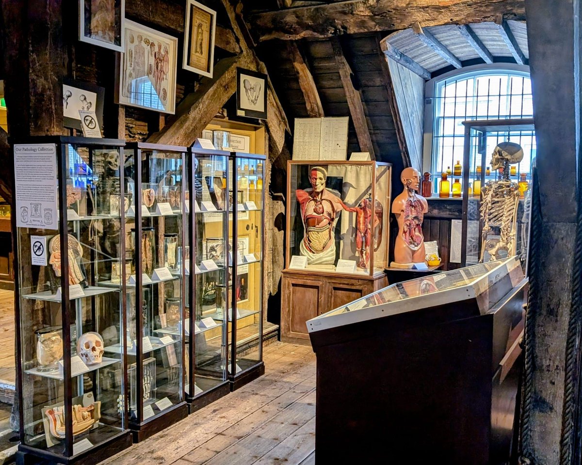 OldOpTheatre's tweet photo. Check out the captivating new blog post by our patron, Dr. Susan Standring, Emeritus Professor of Anatomy at KLC, for #AnatomyWeek! In this #blog she explores the story behindour Pathology collection. Go to blog 👉 https://t.co/oezqf0NDpz 📚 #OldOpTheatre #MedicalHistory https://t.co/fHm5Wv9oJO