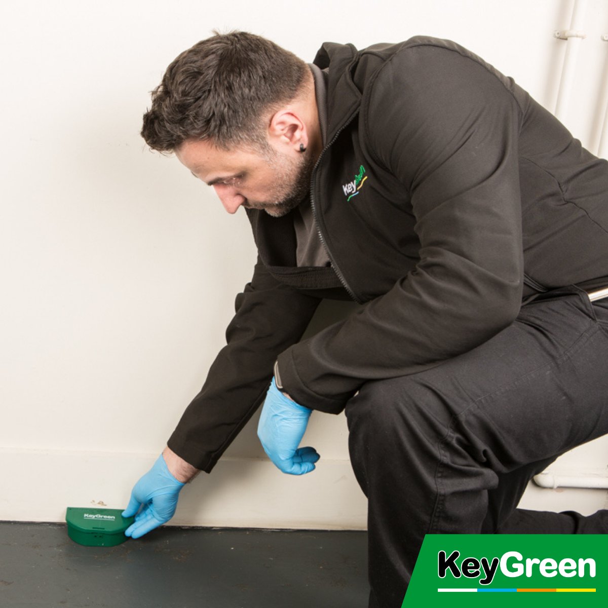 Say Bye to Rodents🚫🐭
Our blog covers essential #PestControl methods, natural remedies &amp; tips to keep your business #RodentFree. From traditional &amp; #EcoFriendly options to the benefits of hiring a professional service, we’ve got you covered.
👉Full blog: eu1.hubs.ly/H0d5ws30