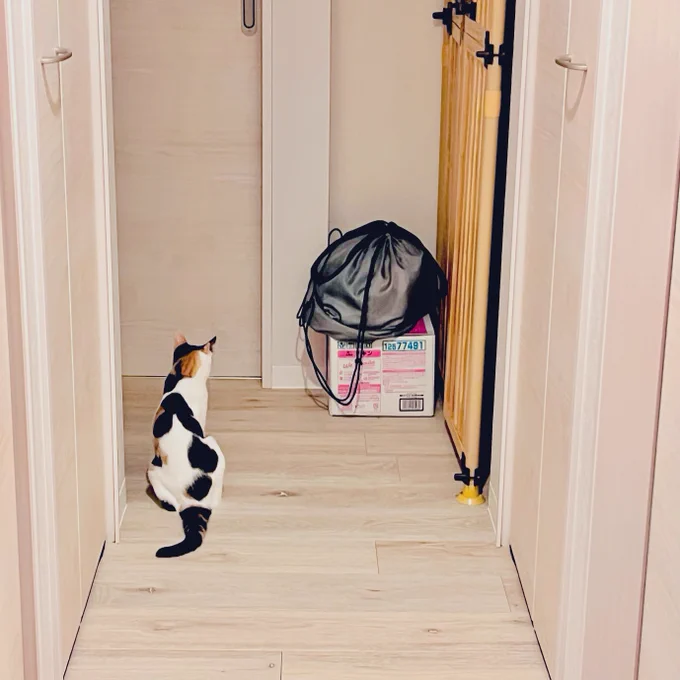 しげちゃんがお風呂から上がるのを待ってる 