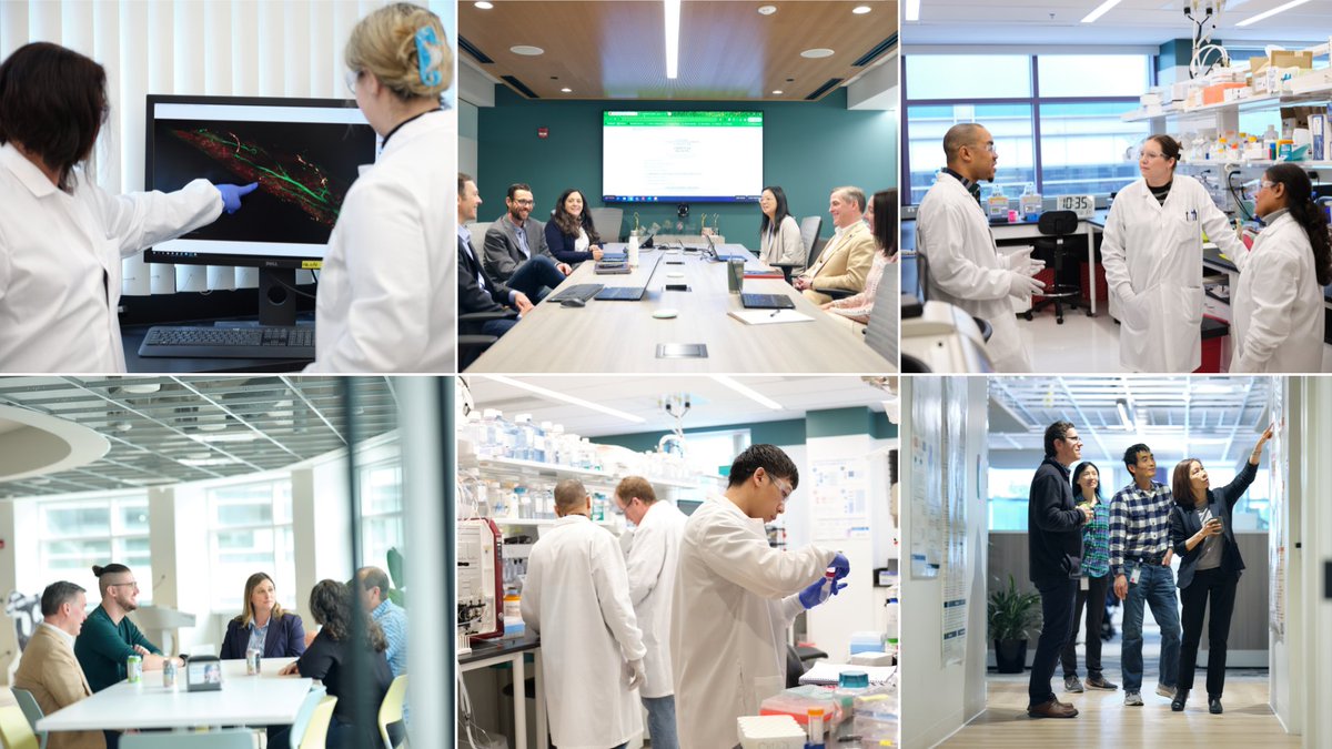 ScholarRock's tweet image. The positive topline results from our Ph3 SAPPHIRE trial mark a major milestone for Scholar Rock and wouldn’t have been possible without our employees’ commitment to our mission of #CreatingPossibilities for patients.