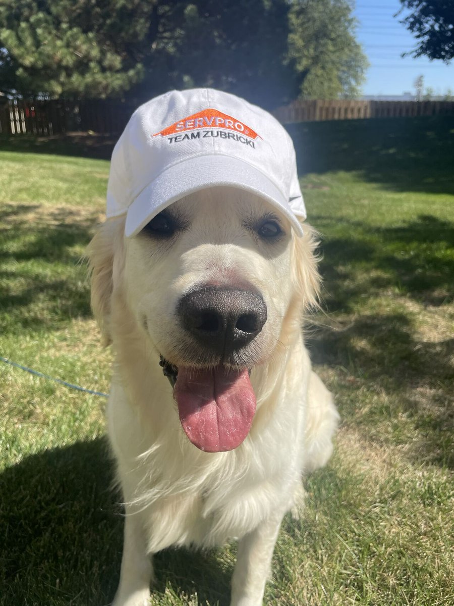 Fully Promoted CORPORATE tweet media