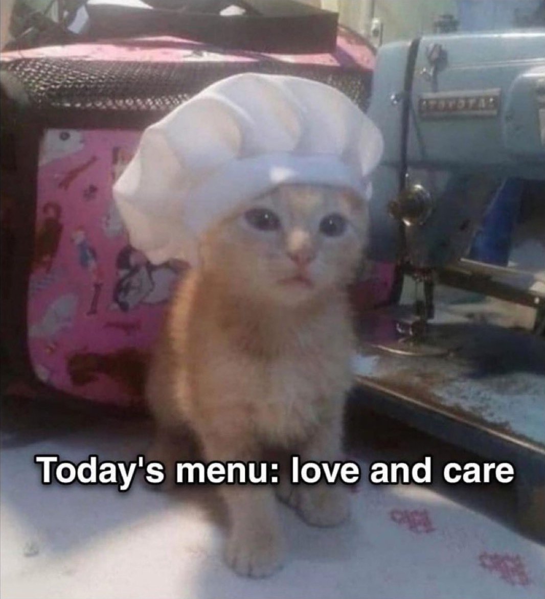 Catsillyness's tweet photo. Love and care https://t.co/9jq9UqQHPT