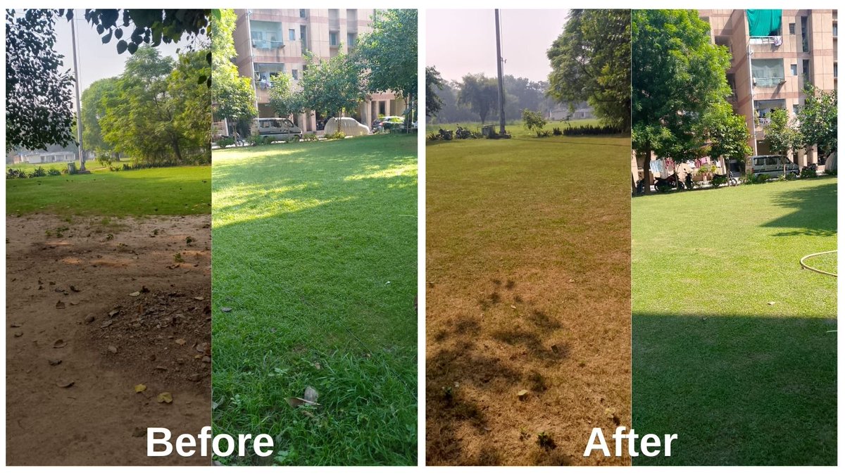 Garden Pruning near quaters at NITRD #NITRD, New Delhi Special Campaign 4.0 #SpecialCampaign4 #SwachhBharatMission
<a href="/MoHFW_INDIA/">Ministry of Health</a>

<a href="/DARPG_GoI/">DARPG 🇮🇳</a>