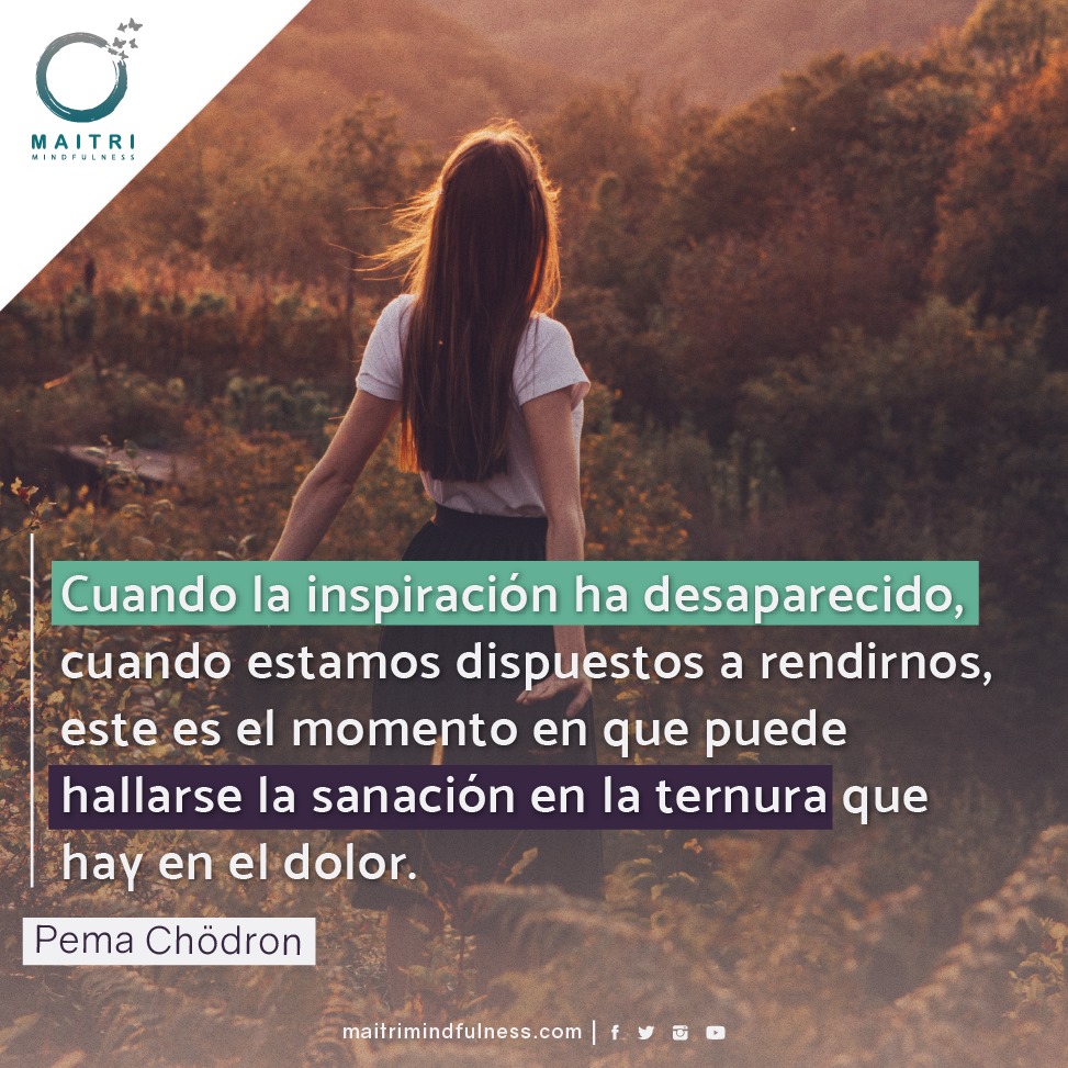 MaitriMx's tweet photo. #Maitri
Cursos y Talleres basados en #mindfulness
Más información: despertares.mx@gmail.com

#Tijuana #México #Mindfulness #Meditación #Atenciónplena #Reduccióndelestrés #Bienestarmental #Prácticasdemindfulness #Concienciaplena #Técnicasdemeditación #Mindfulnesseneltrabajo https://t.co/EwGpZ6khhB