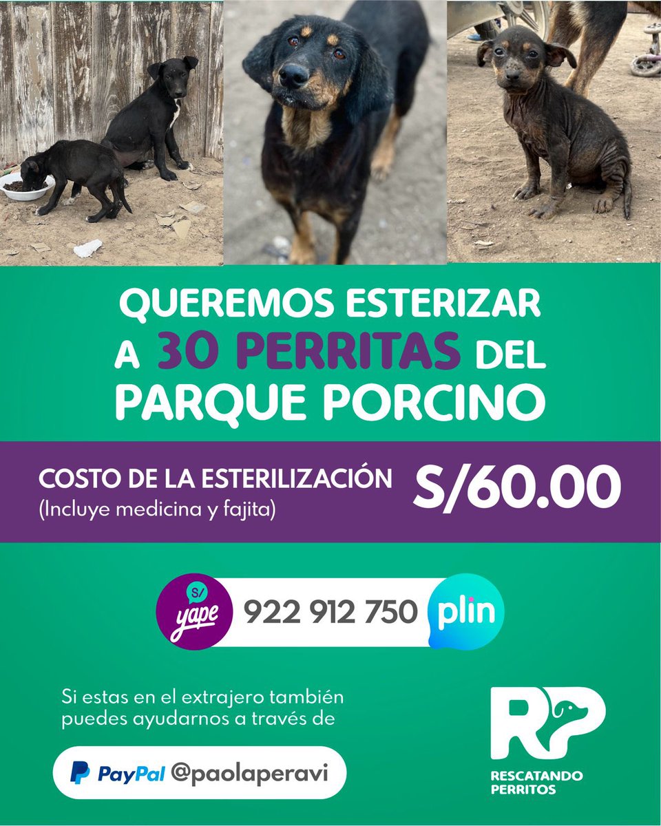 peravi's tweet photo. NOS FALTAN 8️⃣ ESTERILIZACIONES y llegamos a la meta si no puedes ayudar con una,  puedes donar tu voluntad y va sumando. Es importante hacerlo para que no sigan reproduciéndose 
Vamos con fe que si se puede 💪🏼💜 https://t.co/kMvZT4DQye