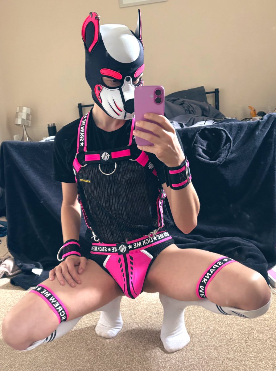 Pup TayTay 💖 (@pup_taytay) on Twitter photo 