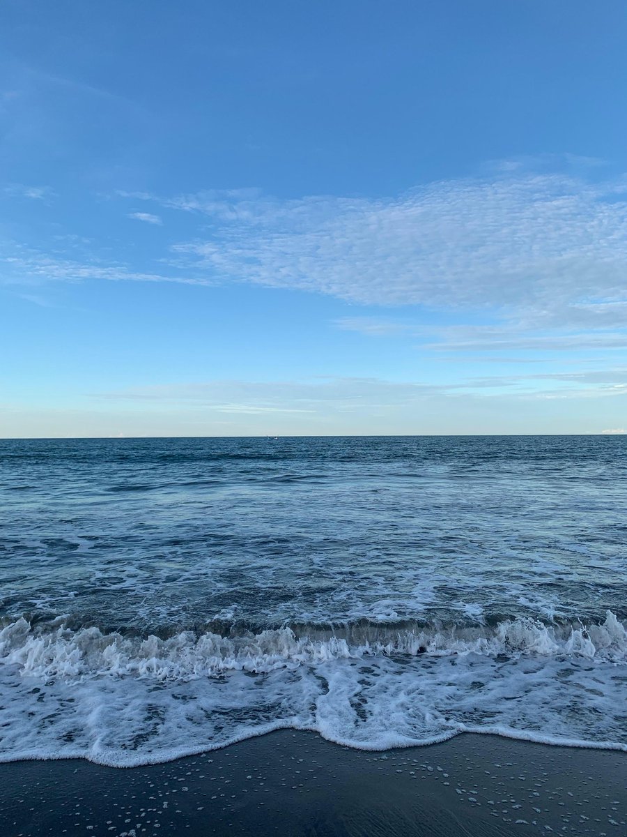tsafinaranty's tweet photo. vitamin sea https://t.co/cb6DPnEAlD