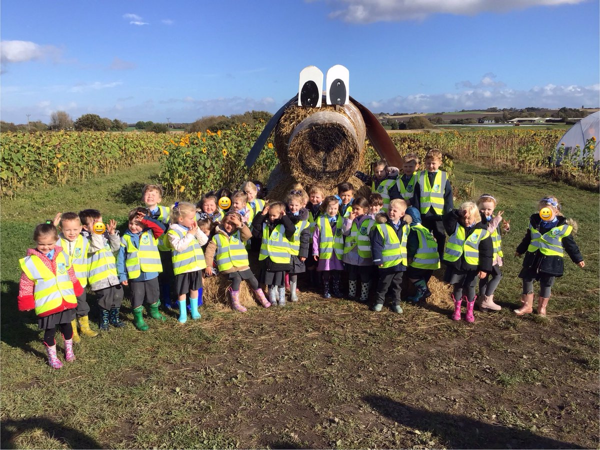StJBoscoRec's tweet photo. Reception enjoyed their trip to Pumpkin Alley. We found some amazing pumpkins!🎃 https://t.co/M1JqQdNxz3