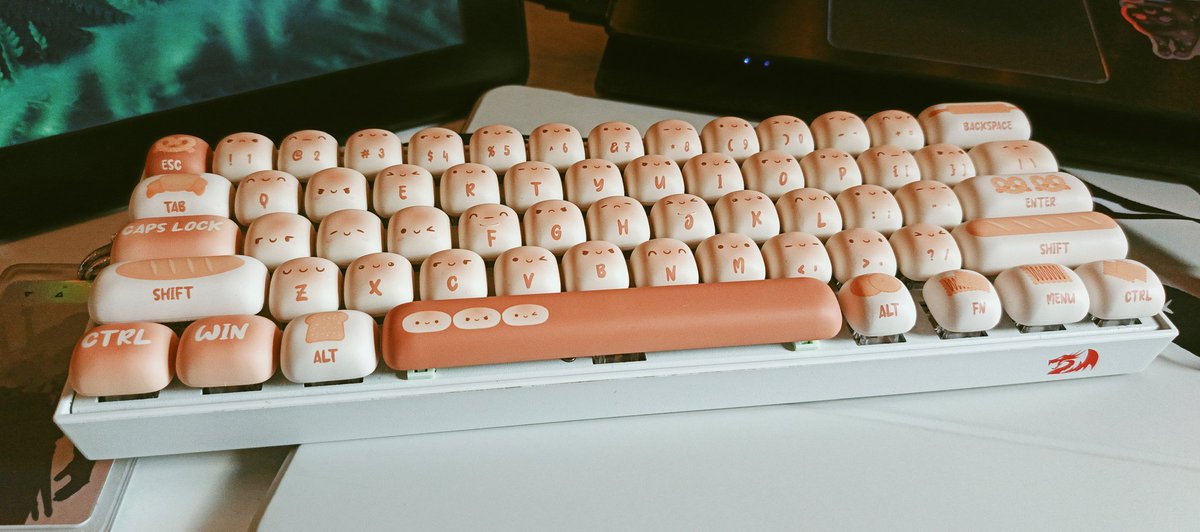 ✦s0yka✦ tweet media