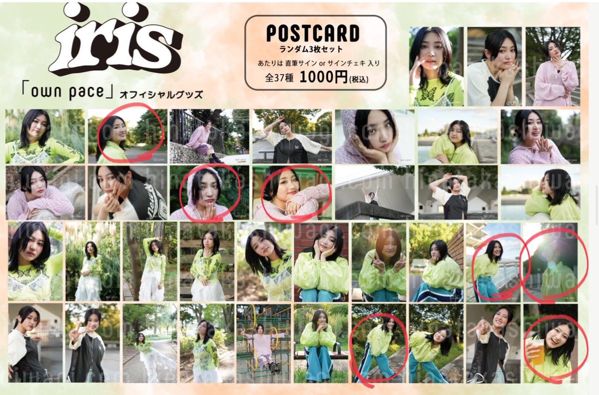 ponchiro95's tweet photo. 柏木ひなたワンマンライブiris
ポストカード　交換

譲　一枚目
求２枚目⭕️

現場決まってないので郵送希望。
現場取引も可能ですが基本的に郵送お願いします。 https://t.co/iXcOrL1Vh3